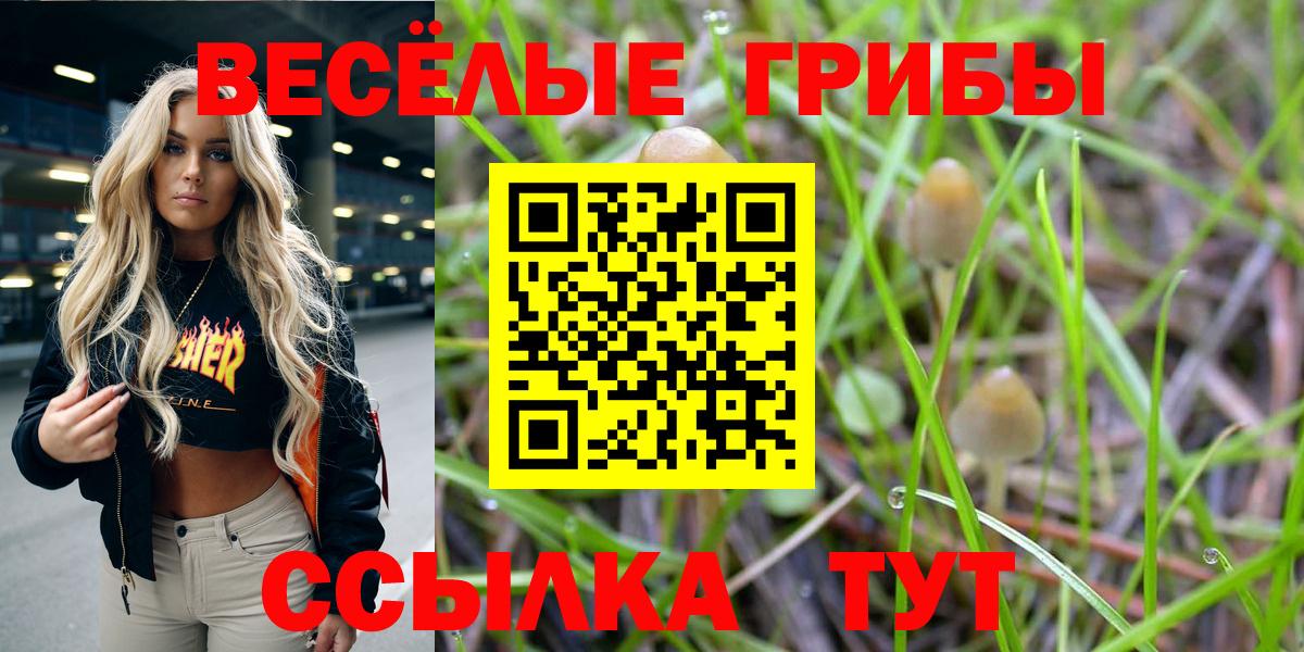 Галлюциногенные грибы Magic Shrooms  Вход с VPN  Лыткарино 